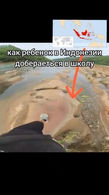 Как ребёнок добирается в школу в Индии 🤣😂🤣