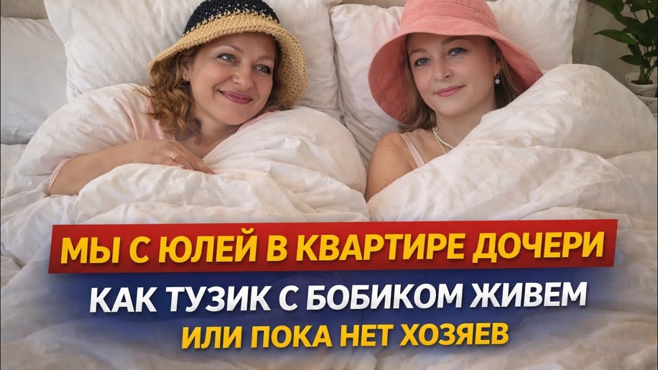 ЧТО НЕ НРАВИТСЯ МОИМ ПОДПИСЧИКАМ НА КАНАЛЕ.ПРАВИЛА ДЛЯ СКИППИ И ЕГО ЛИЧНЫЙ КАБИНЕТ.ПУЭРТО-РИКО