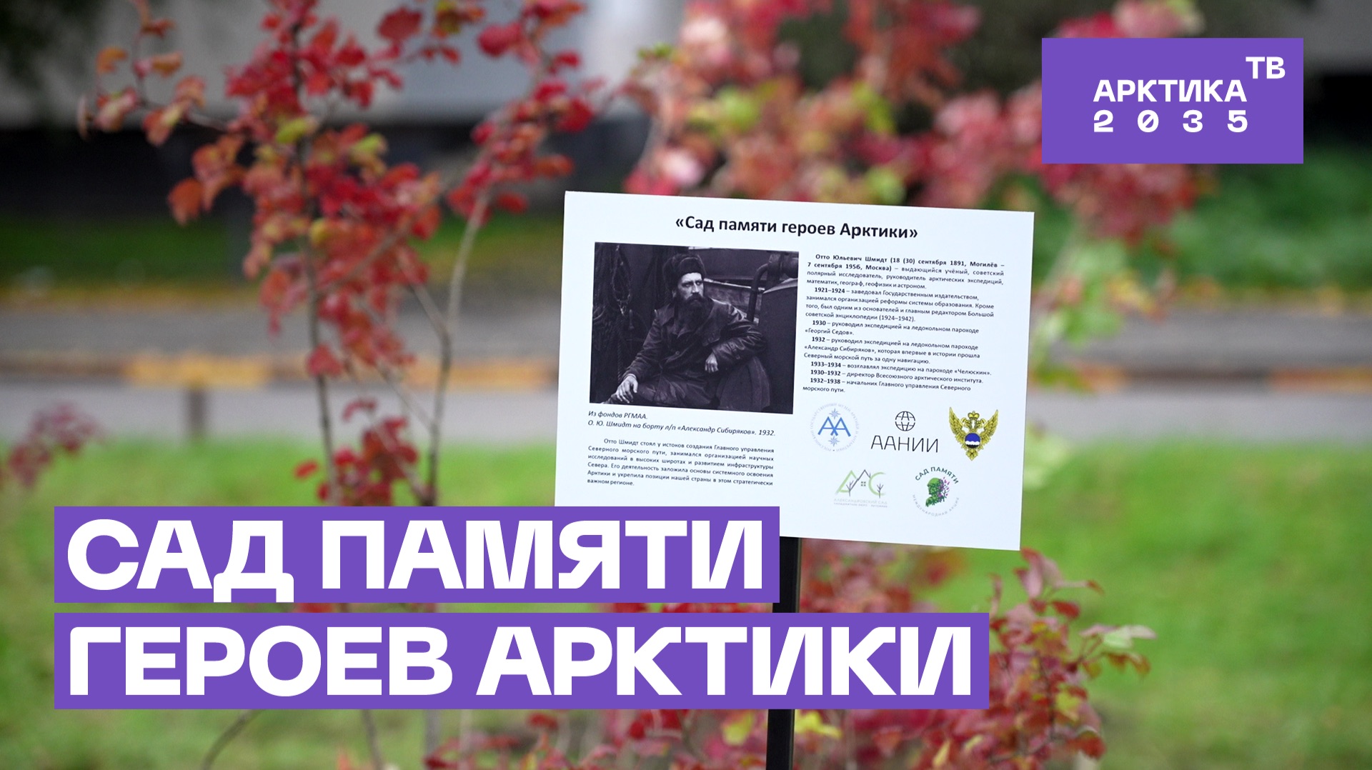 В Санкт-Петербурге обустроили сквер в честь Отто Шмидта