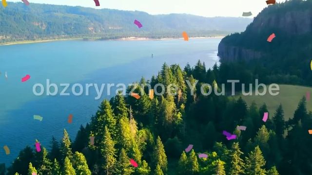 САМВЕЛ АДАМЯН, ОБЗОР ОТ ОЛЬГИ, НАДЯ ПИШЕТ ГАДОСТИ О КОЛЕ В ЧАТЕ САМВЕЛА, ЕДУ В СТОЛИЦУ, ПОЗДРАВИТЬ