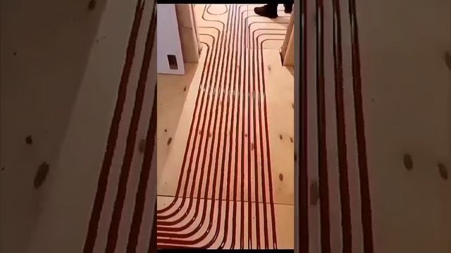 19971693480572