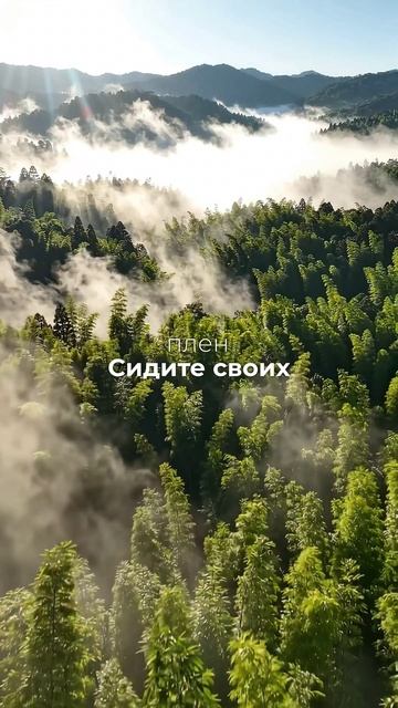 Не нужны советы