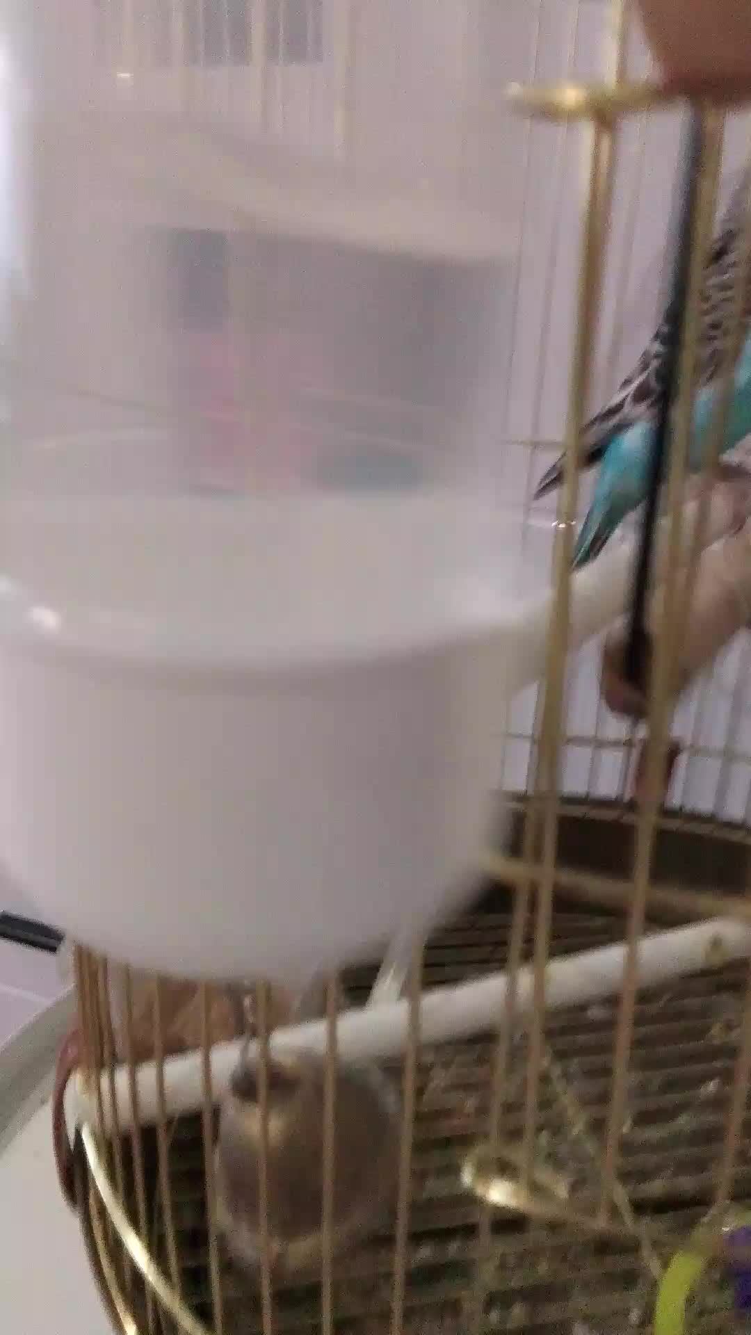 просто видео часть четыре