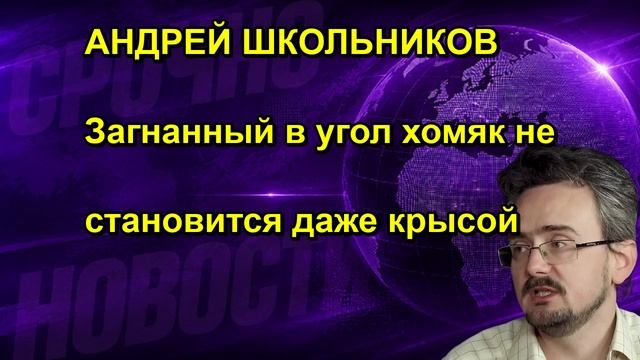АНДРЕЙ ШКОЛЬНИКОВ Загнанный в угол хомяк не становится даже крысой
