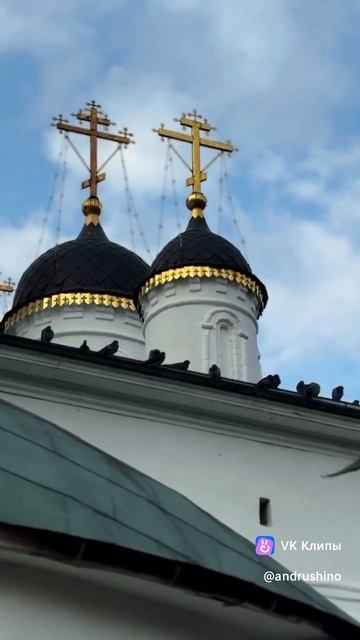 Андрюшино -История первая