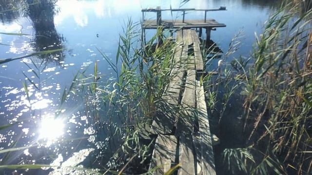 Хутор Белый🌿прогулка