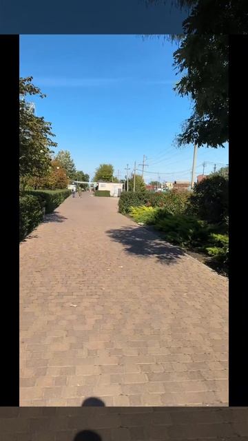 Дорога к морю