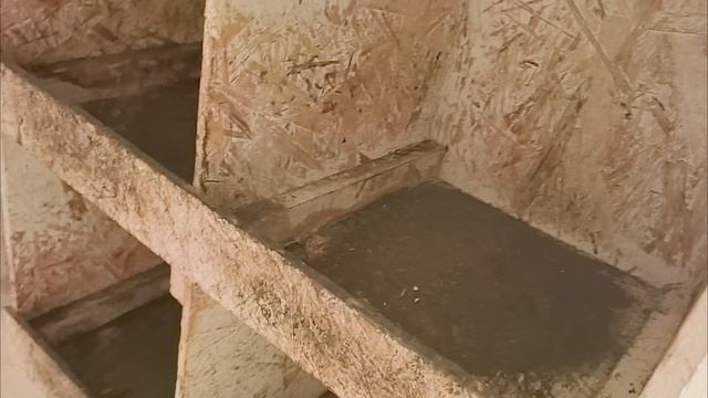 Уборка и обработка курятника осенью