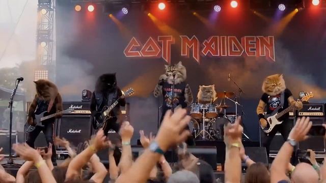 CAT MAIDEN - The Mouser | Live At Whiskers Open Air