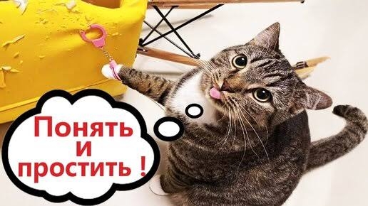 ЮМОР И ПРИКОЛЫ 😜😜😜