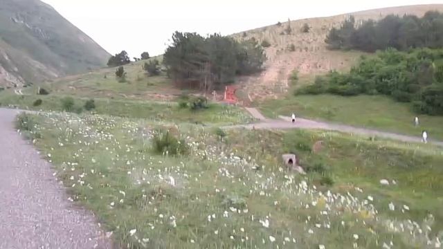 Армения глазами IARMEN.🤩