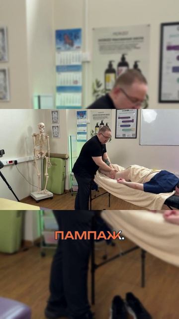 Как работает массаж #массаж #reels #recipe #pain #anatomy #massage #terapia #test #live #sports #fit