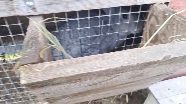28-09-2026 Рум тур по нашему хозяйству.