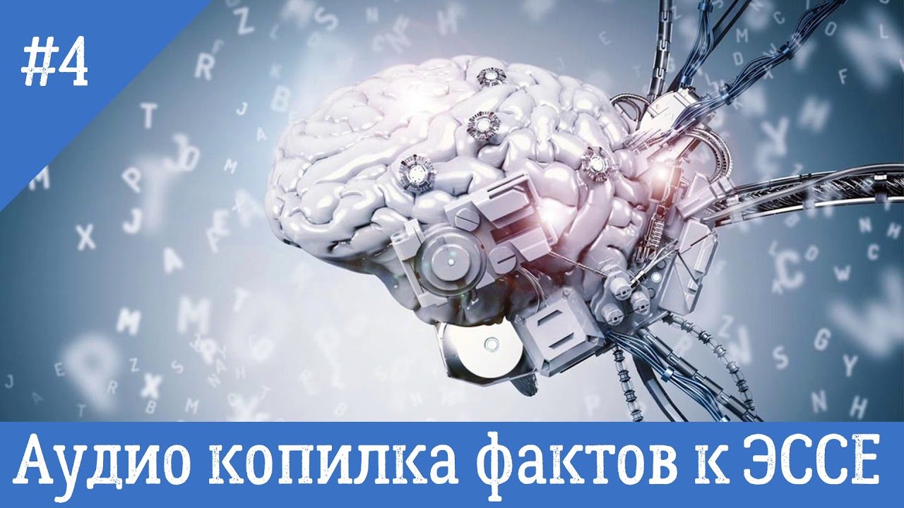 Факт для ЭССЕ по 