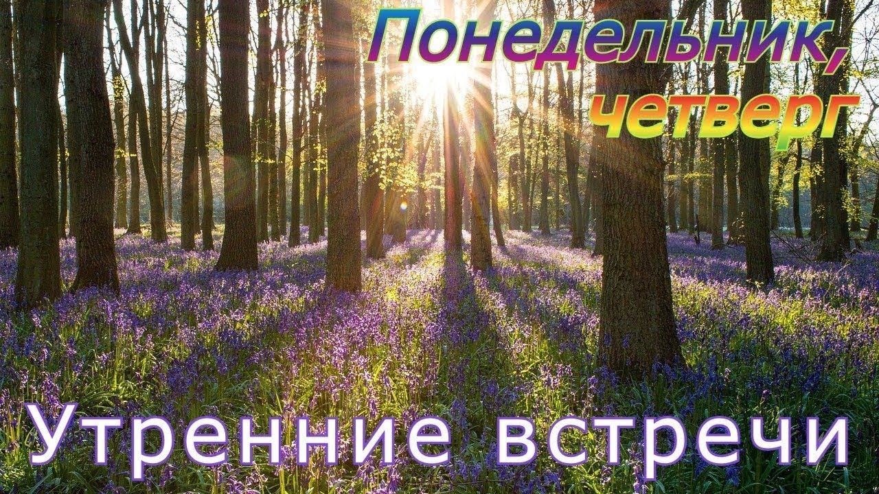 5.05.25. Утренняя встреча #401