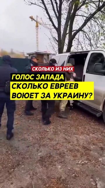 Сколько евреев воюет за Украину
