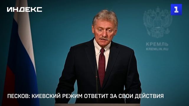 Песков: киевский режим ответит за свои действия