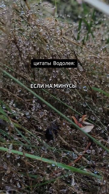#когда_ты_водолей_  #водолей #водолейка #устамиводолея