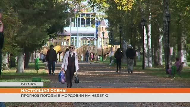Прогноз погоды в Мордовии на неделю