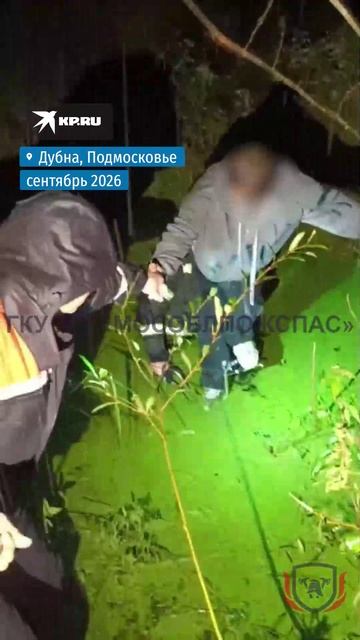 Спасатели помогли курьеру выбраться из болота под Дубной