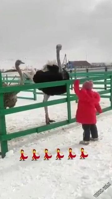 Зажигательная цыганочка