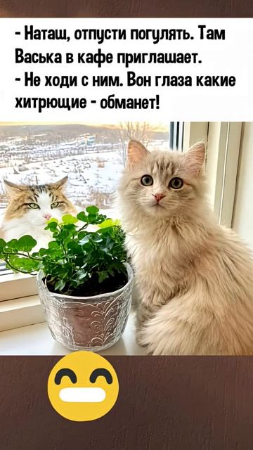 Глазки хитруюшие обманеть шортс юмор смех прикол рекомендации мем смешно смешновидео фильм