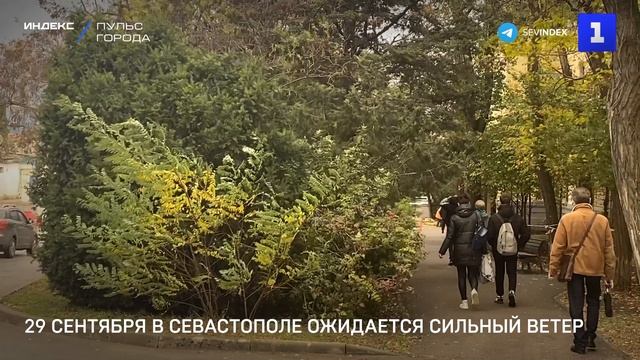 29 сентября в Севастополе ожидается сильный ветер