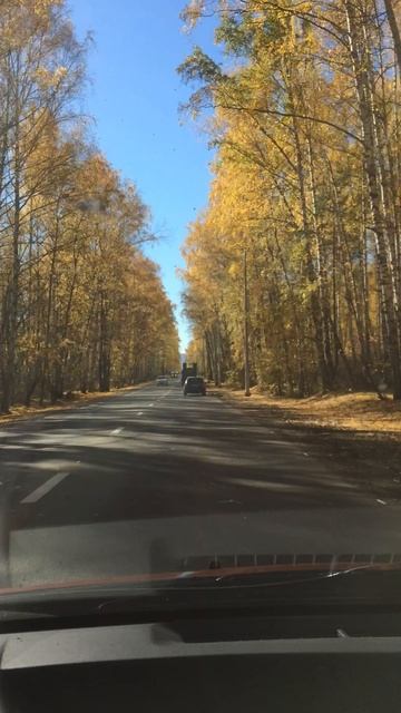 #золотая_осень #красноярск