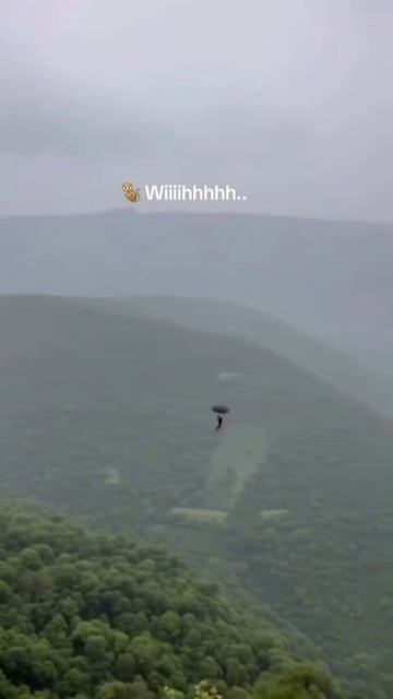 смешная обезьянка
