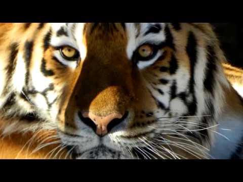 Nice Music With Amazing Photo. удивительные фото с красивой музыкой 2