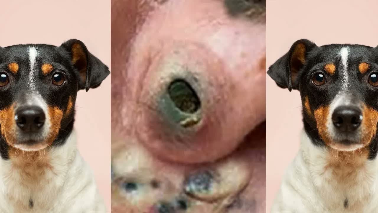 Relax Squeezing Out Blackheads #26 Черные точки