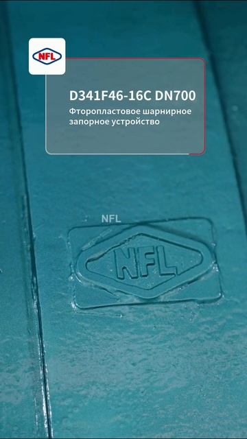D341F46-16C DN700 Фторопластовое дисковое запорное устройство-NFL.