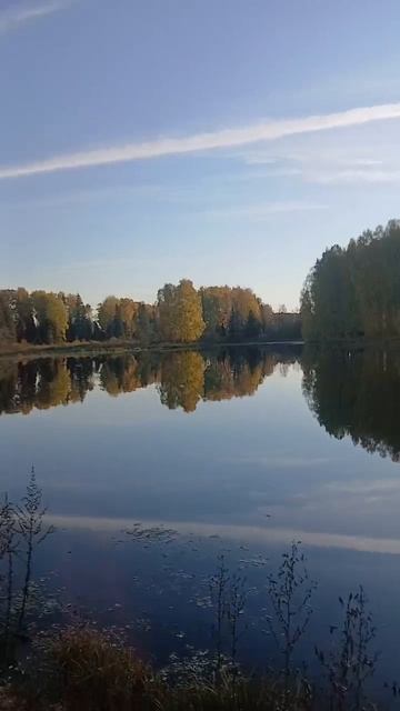 28-09-2026