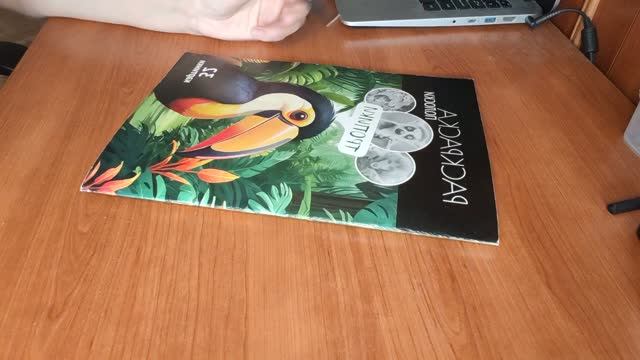 Я вернулась! Рассказываю, почему пропала