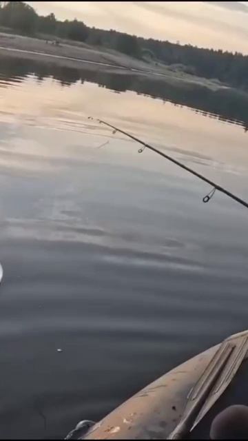 Неподдельные эмоции... ☺️