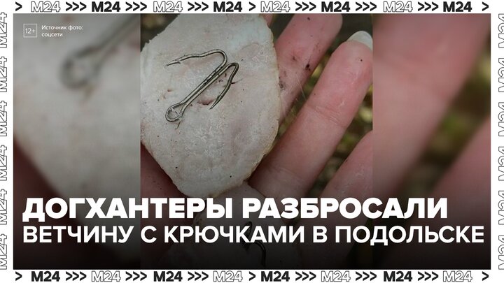 Куски ветчины с рыболовными крючками разбросали в парке Победы в Подольске - Москва 24