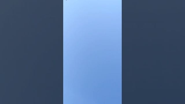 Гладиатор от Самарских любителей сгущенки.....