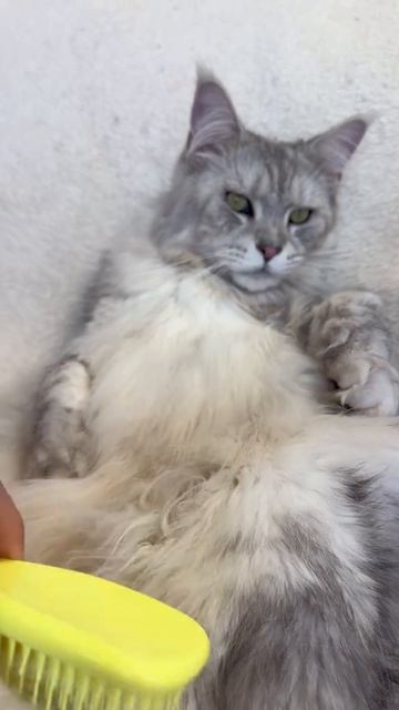 асмр и Спа на ночь ❤️
