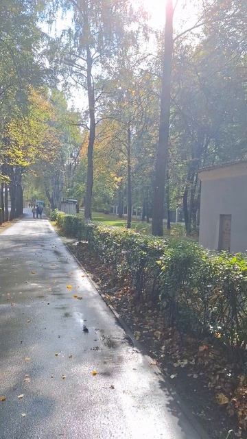 Осенний листопад в Измайловском парке. Сентябрь 2026