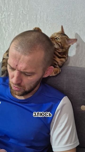 Подписывайтесь, здесь всё о секретах кошачьего поведения! 💜