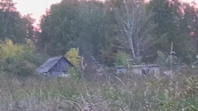 Бывший 