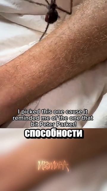 Пранки от друга
