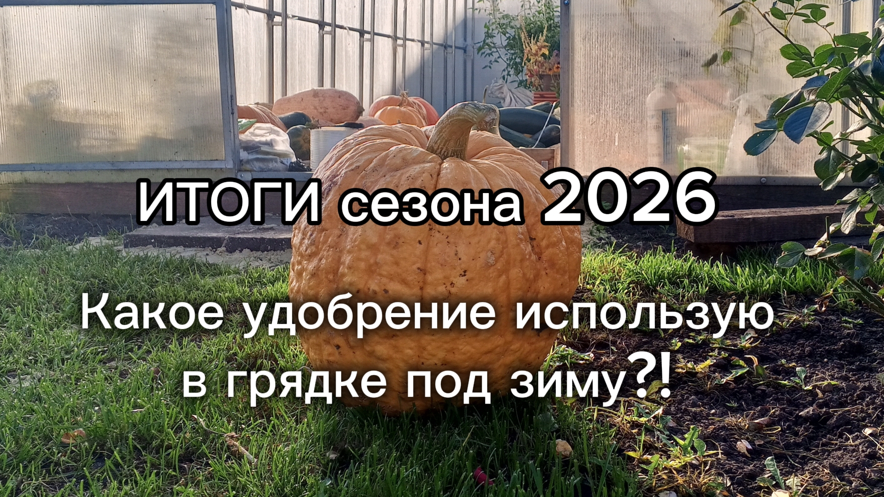 Подвожу ИТОГИ 2026..Удобрение под зиму на следующий сезон..Что осталось в теплице?