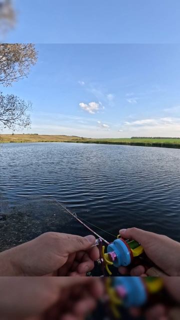 Рыбалка на спиннинг