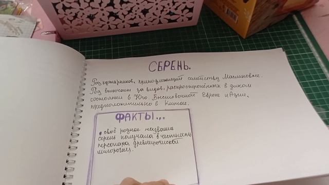 оформление травника