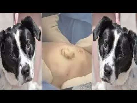 Relax Squeezing Out Blackheads #38 Черные точки