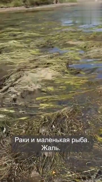 Днестр обмелел до исторического минимума: объявлен красный код