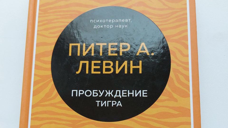 3-5-Исцеление-и-сообщество