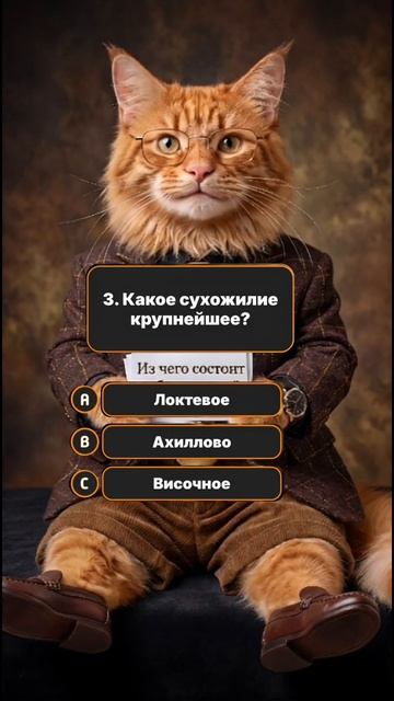 Из чего состоит зубная эмаль?