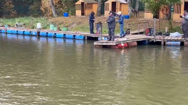 28.09.26 г. РК Волна.